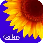 Gallery : Photo, Video & Album icon