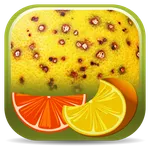 Citrus Diseases Key icon