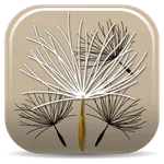 Federal Noxious Weeds Key icon