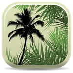 Palm ID Key icon