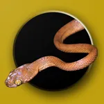 Australian Snake ID icon