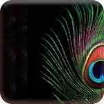 Bulu Merak Indah Wallpaper icon