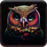 Burung Hantu Super Lucu Wallpp icon