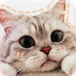 Wallpaper Kucing Offline AISO icon