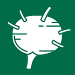 Lymphatic System Reference icon