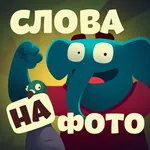 Слова со слоном - поиск слов icon