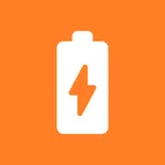 Battery Info icon