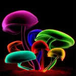 Cute Mushroom Wallpaper icon