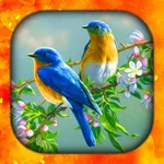 Birds Live Wallpapers HD/4K icon