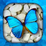 Butterfly Wallpaper Live HD/3D icon