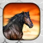 Horse Live Wallpaper | Horse W icon
