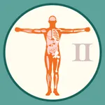 M3 Kesehatan: Ilmu Dasar Anato icon