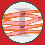 M3 Kesmas: Ilmu Dasar Histolog icon