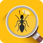 Magnifier Glass & Flashlight icon