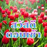 สวัสดีตอนเช้า icon