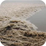 全国潮汐表 icon