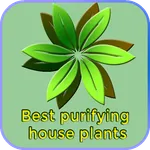 Best purifying house plants icon