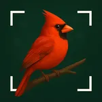 Bird Identifier: AI Scan icon
