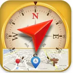 Compass Coordinate Premium icon