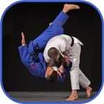 Judo in brief icon