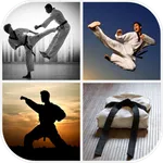 Martial Arts Wallpaper icon