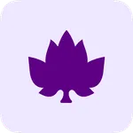 Maple - Admin icon