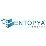 Entopya icon