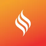 FDIC International icon