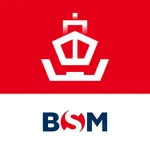 BSM DryDock icon