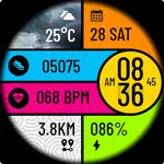 POLO Watch Face icon