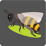 HD Matrial Bee icon