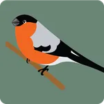 HD Matrial Bird icon