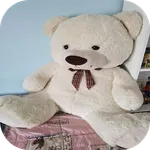 Teddy bear wallpaper icon