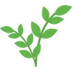 Moje Rosliny icon