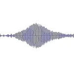 Guess the sound icon