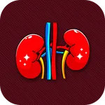 Kidney Diseases and Treatment icon
