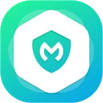 Mega VPN icon