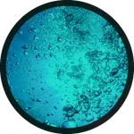 TR180205 icon