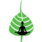 Metta Studio icon