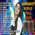 Lagu Dangdut Koplo Viral 2023 icon