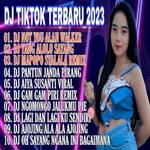 DJ Not You Alan Walker 2023 icon
