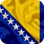 Flag of Bosnia and Herzegovina icon