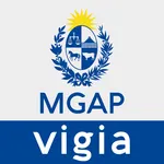 Vigía icon