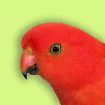 Australia Birds ID - Demo icon