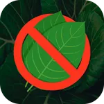 Quit Kratom icon