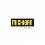 Michigan icon