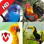 100 Bird sounds icon