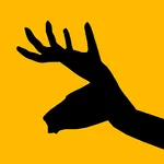 Move Shadow icon