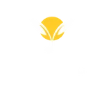 RecyTec icon