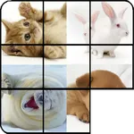 Sliding Puzzle Cats icon